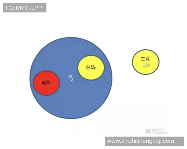 重庆网球队在世锦赛中的团队协作表现分析与启示